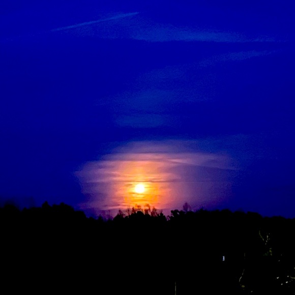 Meet your Posher, Gooner - Picture 1 of 1